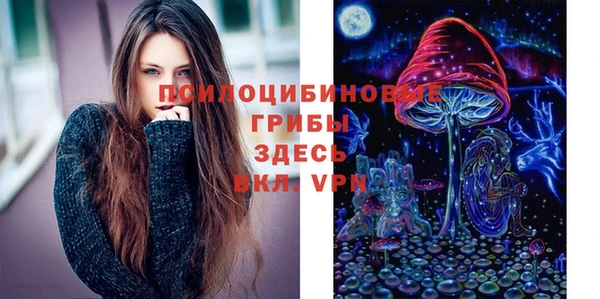 шишки Алзамай