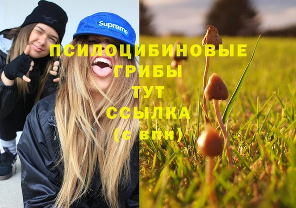 соль курить ск Аркадак